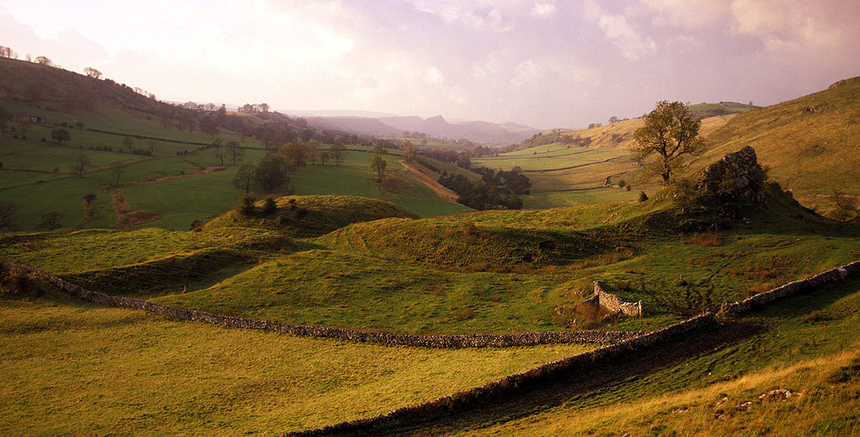 Archaeology Day 2019